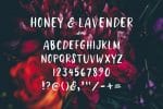 Honey & Lavender Cute Font + Extras Font