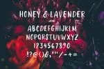 Honey & Lavender Cute Font + Extras Font