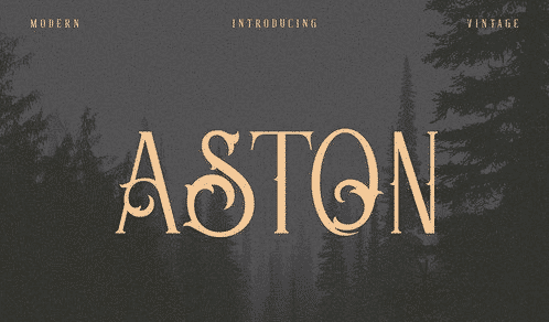 Aston - Vintage Serif Font
