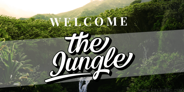 Kingsman Script Font