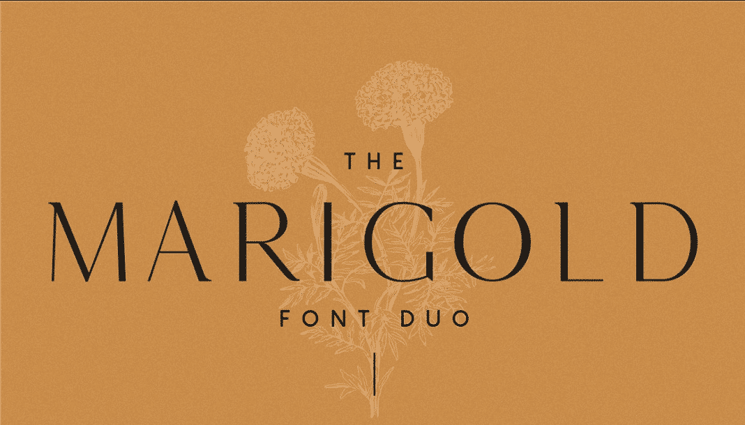 Marigold Font