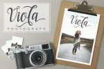 Mimosa Script Font