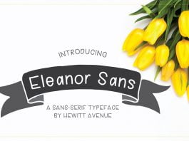 Eleanor Sans Serif Font