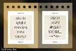 Delmera – Modern & Aesthetic Typeface Font