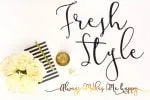 Modesty Font