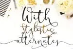 Modesty Font