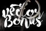 Morracle Font