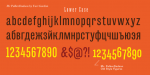 Mr Palker Dadson Font Family