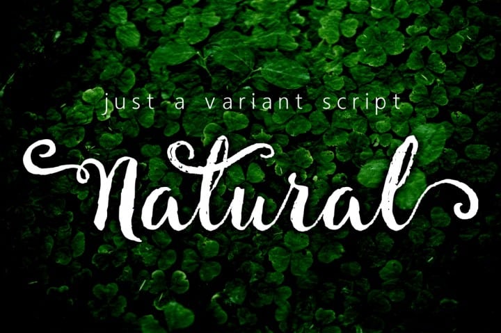 The Naturel Font