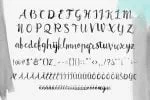 Norffo Font Watercolor Brush