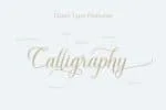 November Caligraphy Font