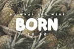 Palm Brush Font