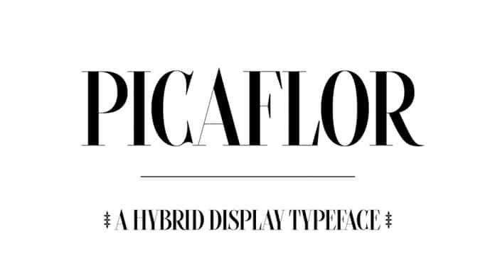 Picaflor Family 7 Styles Font