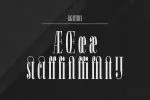 Fiona Pro Font Family