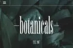 Fiona Pro Font Family