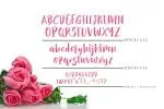 Hello Bethy Font
