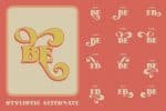 Alota - Retro Family - 2 Styles Font