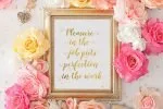 Delighted Script Font