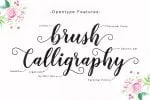 Delighted Script Font
