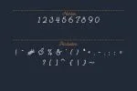 The Cape Hall - Monoline Script Font