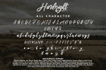 Hindsight Modern Script Font