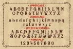 Qwerly Font