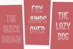 Roundabout Family 3 Styles Font