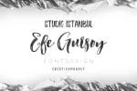 Ragtime Script Fonts