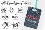 Ragtime Script Fonts