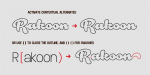 Rough Rakoon Font Family