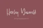 Routinely Script Font