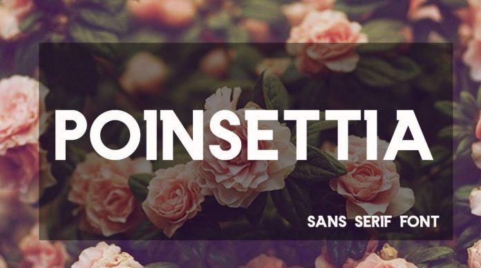 Poinsettia Font
