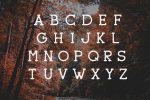 Sherman Font + 3 Logo Templates