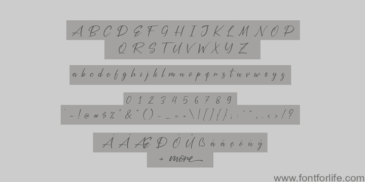 Silver Pen Font