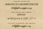 Singapore Script Font