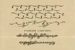 Singapore Script Font