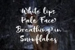 Sofie Script Font