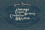 Stela Display Font
