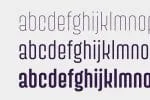 Surimi Font Family