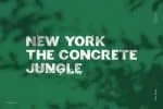The Vine Font
