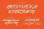 The Airlines Script Font
