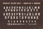 The Money Font