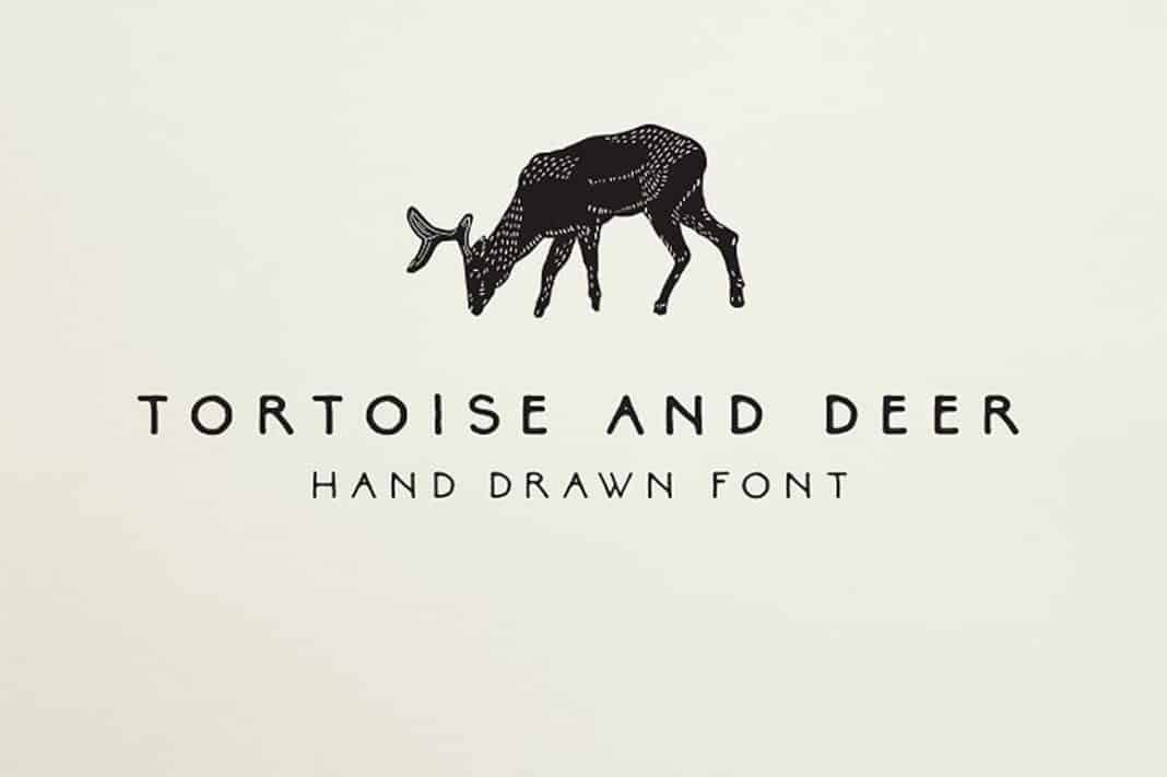 Tortoise and Deer Font Family Tortoise and Deer Font Family