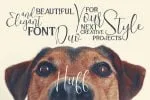 Trendy Script Font Duo