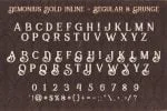 Trendy Script Font Duo
