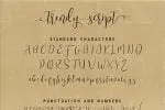 Trendy Script Font Duo
