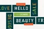 ROAM Geometric Type Collection