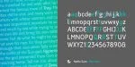 Nettle Sans Font Family