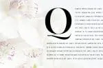 Vienna Serif Font