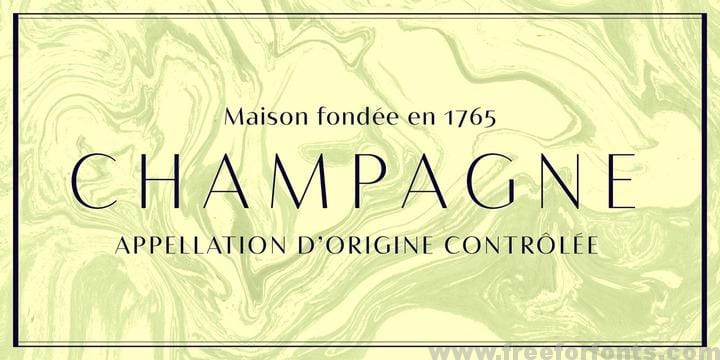 Bw Vivant Font Free Download